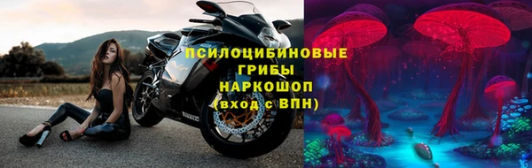 эйфоретик Майский