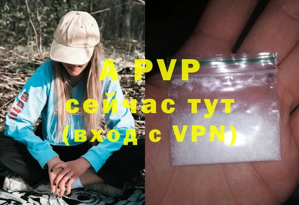 эйфоретик Майский