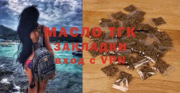 мдпв Рославль