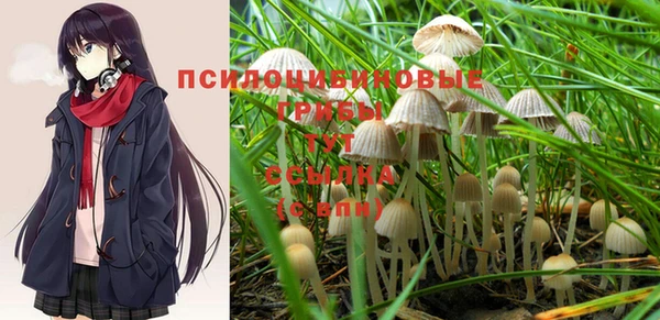 твердый Магадан