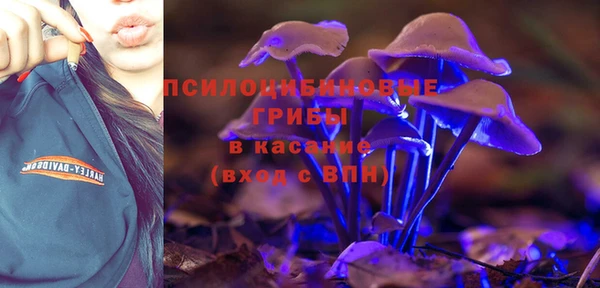 mdpv Лихославль